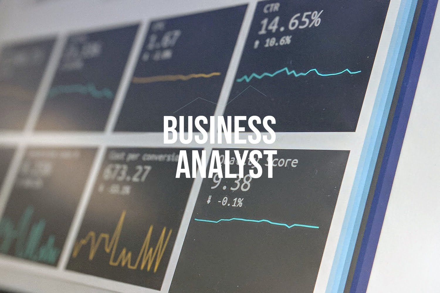 business_analyst